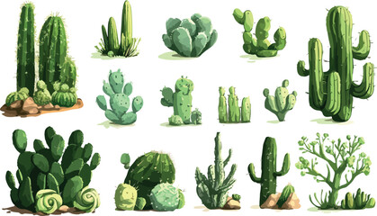 Collection of diverse desert cactus plants and succulents in various shapes and sizes isolated on white