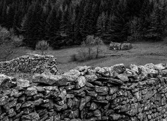 Ruined Yorkshire stone barn in a valley with dry stone walls in monotone