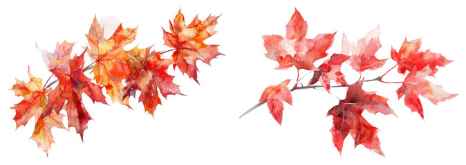 Fototapeta premium PNG Vibrant watercolor autumn leaves, element set on transparent background