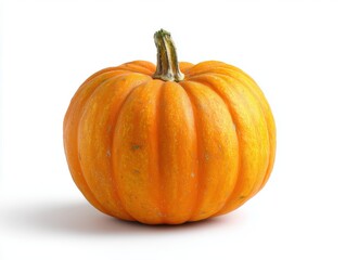 Obraz premium Single pumpkin front view on white background, minimalist still life photography for autumn themes and Thanksgiving designs