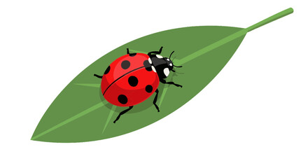 Fototapeta premium Bright red ladybug with black spots rests on a vibrant green leaf