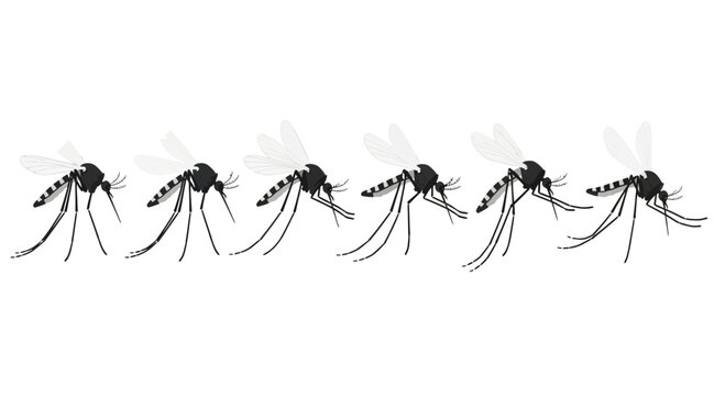 Pesky mosquitoes swarm, posing a health threat and disrupting outdoor activities