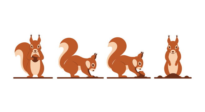 Charming squirrels prepare for winter gathering nuts and burying them in the ground