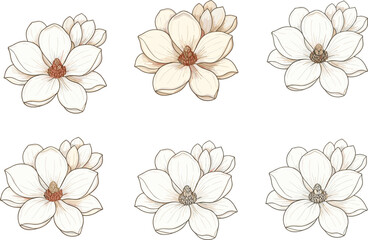 Hand drawn white magnolia flowers illustration, elegant floral clipart, vintage botanical design, spring bloom graphic, wedding decoration element set © Design_Pro