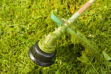 Fototapeta premium String Trimmer. Mowing the lawn. Lawn trimmer. Cut the Grass