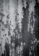 Fototapeta premium Monochrome Texture Peeling Paint on a Weathered Surface Abstract Background