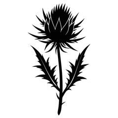 Pale Thistle vector clean black silhouette design white background