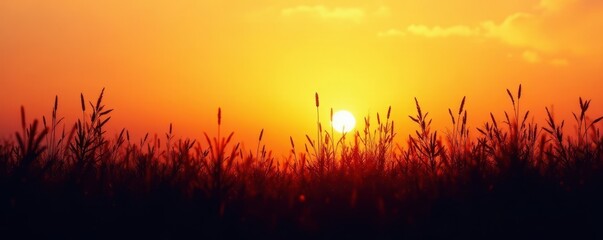 Dark, stark silhouettes of tall grass against a bright background , shadow, autumn