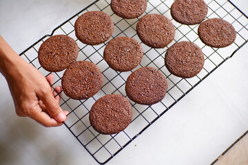 chocolate chip cookies