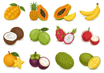 Twelve types of cut and whole tropical fruits are depicted on a white background