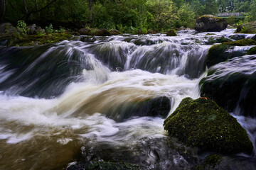 waterfall in the forest