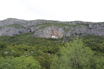 Fototapeta premium mountain landscape with trees