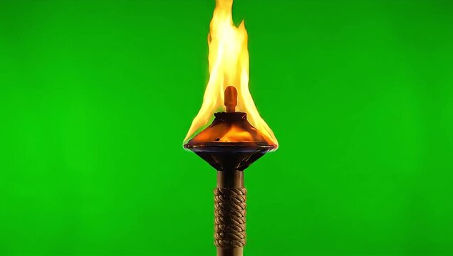 Burning torch ignites with vibrant flame against a green background, symbolizing hope and achievement.