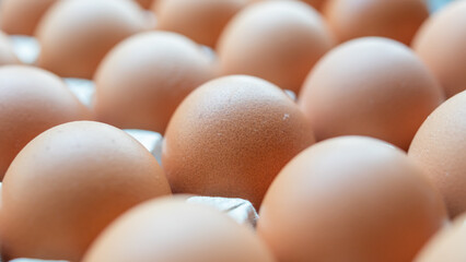 Fresh organic brown chicken eggs in cardboard tray