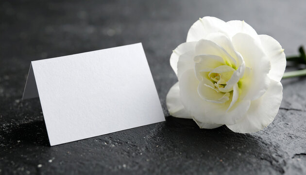 Blank condolence card and white flower on dark stone surface. Minimalist presentation. Mock-up.
