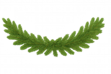 Lush evergreen branch garland forming a curved shape, ideal for holiday designs. Set on a transparent background for versatile use