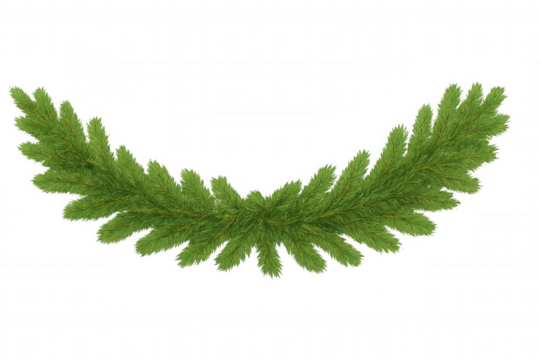Lush evergreen branch garland forming a curved shape, ideal for holiday designs. Set on a transparent background for versatile use