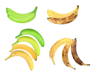 bananas showing various stages of ripeness