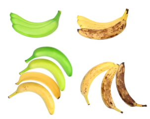 bananas showing various stages of ripeness