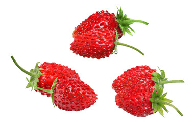 fresh wild strawberries on a dark background