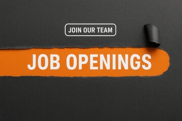 Join our team with JOB OPENINGS promotion, sleek design, modern retail job opportunity banner.