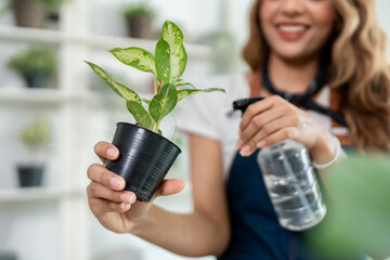 Close up of woman seller working and caring for plants in a tree shop. 