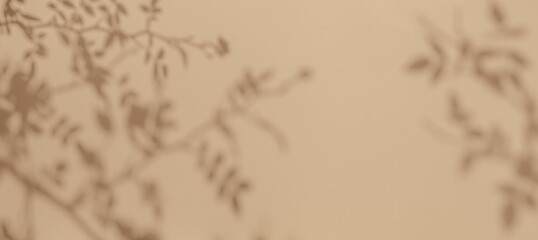 Minimalist botanical silhouette over soft beige background. Pastel, abstract, tranquil ambiance. Suitable for modern digital art, calming design, creative wallpaper, elegant banner.