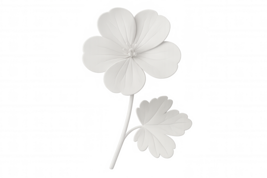 White flower with transparent background, perfect for adding a touch of elegance to any project