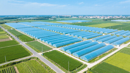 Aerial view of the greenhouse