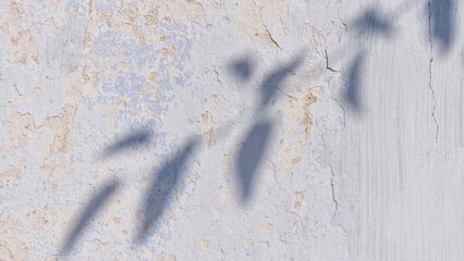 Old cracked plaster wall with peeling paint and shadows of leaves. Minimalistic texture and architectural background. Design with copy space