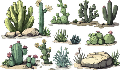 Fototapeta premium Collection of various desert cacti and succulents with blooming flowers and rocks on a white background