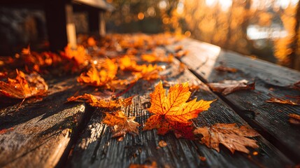 Autumn leaves in golden colors scattered on wooden table with warm sunlight