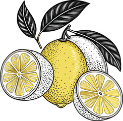 lemon fruits line art black design
