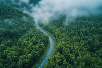 Panoramic aerial view of a forest road that winds its way through a thriving green canopy during the cool and refreshing rain season