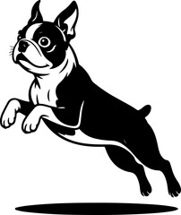 boston terrier dog jump silhouette vector illustration