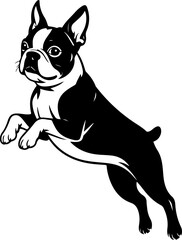boston terrier dog jump silhouette vector illustration