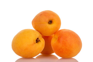 Ripe organic apricots isolated on white background, macro.