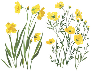 Obraz premium PNG Yellow wildflowers vibrant illustration, element set on transparent background