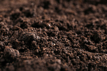 Fresh soil as background, closeup. Organic matter