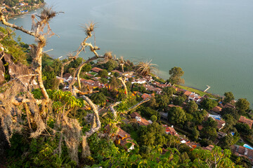 Elevated perspective over Valle de Bravo lake in Mexico from La Pena, tree branches in foreground framing water and town, symbolizing nature, travel, heritage and serenity
