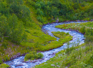 small river rushing through the forest