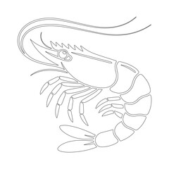 Shrimp vector
