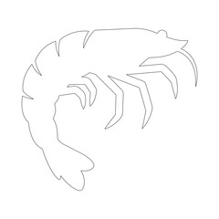Shrimp vector