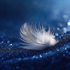 Floating Feather on Dark Shimmer