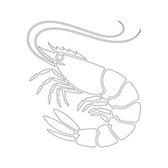 Shrimp vector