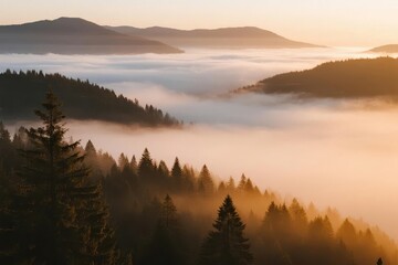 Fototapeta premium Sunrise Over Misty Mountain Valleys with Pine Forests