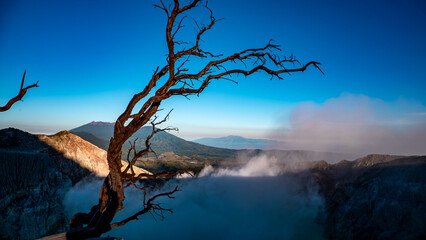 Dry twisted tree branches overlooking the turquoise crater lake Kawah Ijen with volcanic smoke in East Java, Indonesia. Unique volcanic landscape with dramatic contrast of nature and barren wood.