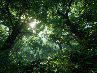 Obraz premium Lush Forest View