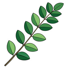 Fototapeta premium Green Foliage Branch with Black Outline on White Background leaves plant