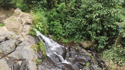 Obraz premium Small waterfall flowing through rocks surrounded by lush green forest. Perfect for eco projects, travel blogs, nature backgrounds, environmental campaigns, and educational purposes. 